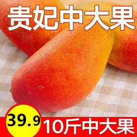 海南贵妃芒果新鲜当季热带水果10斤