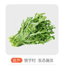 赞字村臭菜（芝麻菜）（±50g） 商品缩略图0