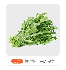 赞字村臭菜（芝麻菜）（±50g）