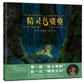 蒲蒲兰 精灵鸟婆婆  彭懿 3-4-5-6岁儿童绘本 正版