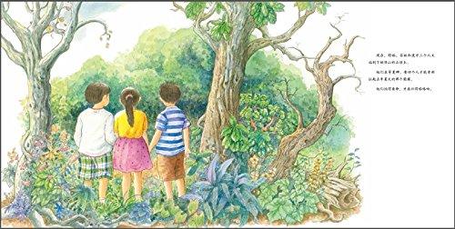 蒲蒲兰 妖怪山 彭懿 3-4-5-6岁儿童绘本 正版 商品图4