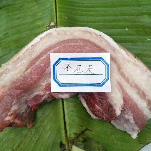 不见天土猪肉 广西柳州秋哥 只发广东 伴诚品市集