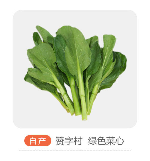 赞字村菜心 商品图0