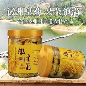 洽舍乡龙一湾徽州皇菊 朵朵饱满