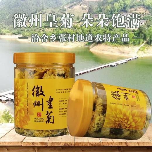 洽舍乡龙一湾徽州皇菊 朵朵饱满 商品图0