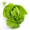 奶油生菜 300g 商品缩略图0