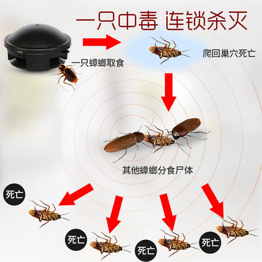 日本安速小黑帽环保灭蟑螂药 家用灭蟑螂环保 12枚 商品图1