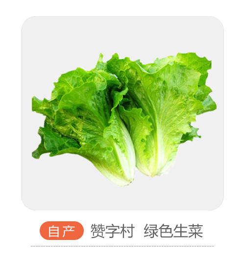 自产生菜 商品图0