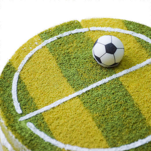 绿茵之冠 商品图3