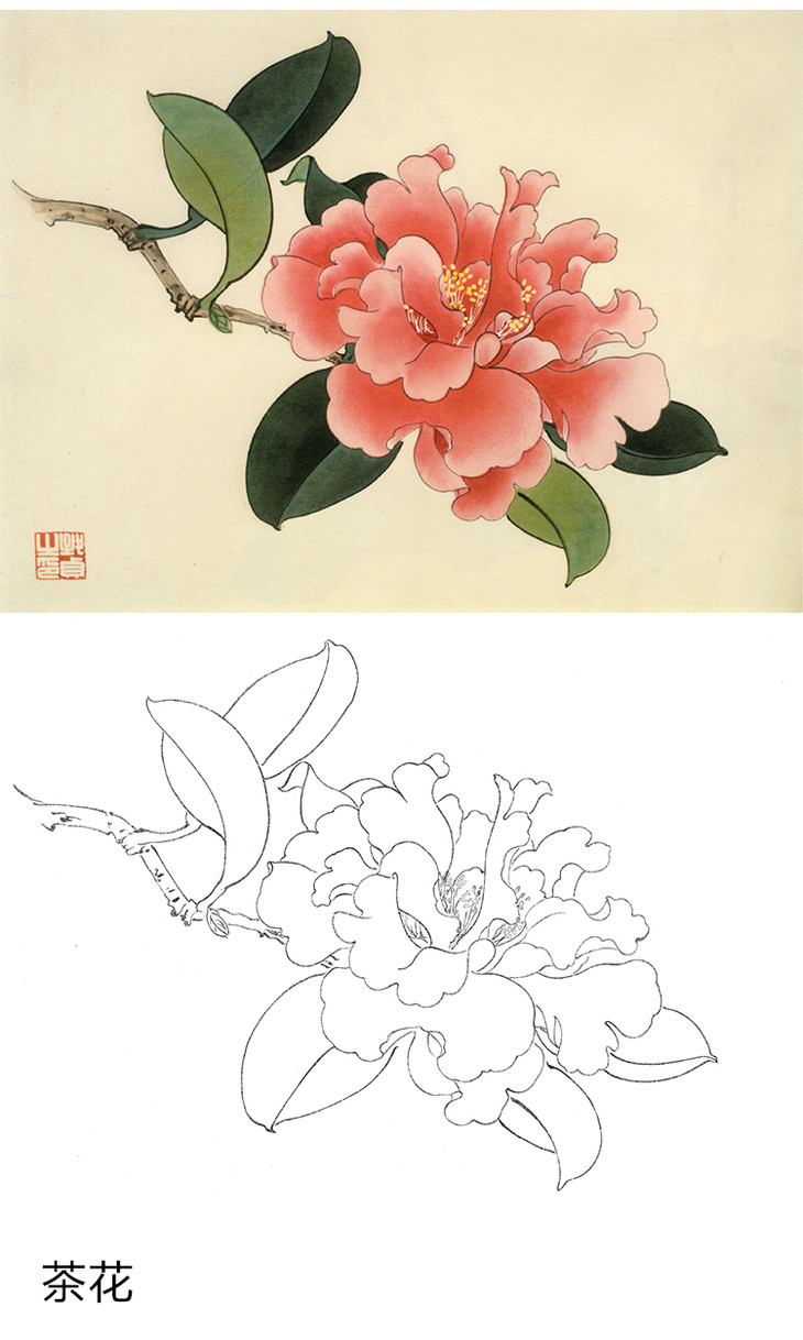 俞致贞工笔花鸟白描底稿花卉小品一套20幅册页jv65