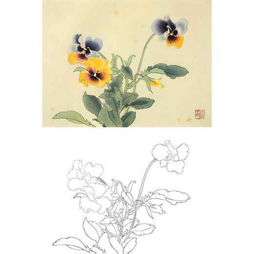 俞致贞工笔花鸟白描底稿花卉三色堇斗方小品册页jv52