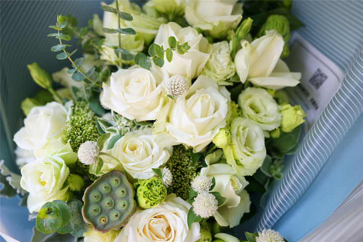 清雅,干净,纯洁