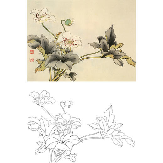 俞致贞工笔花鸟白描底稿花卉打破碗花斗方小品册页jv63