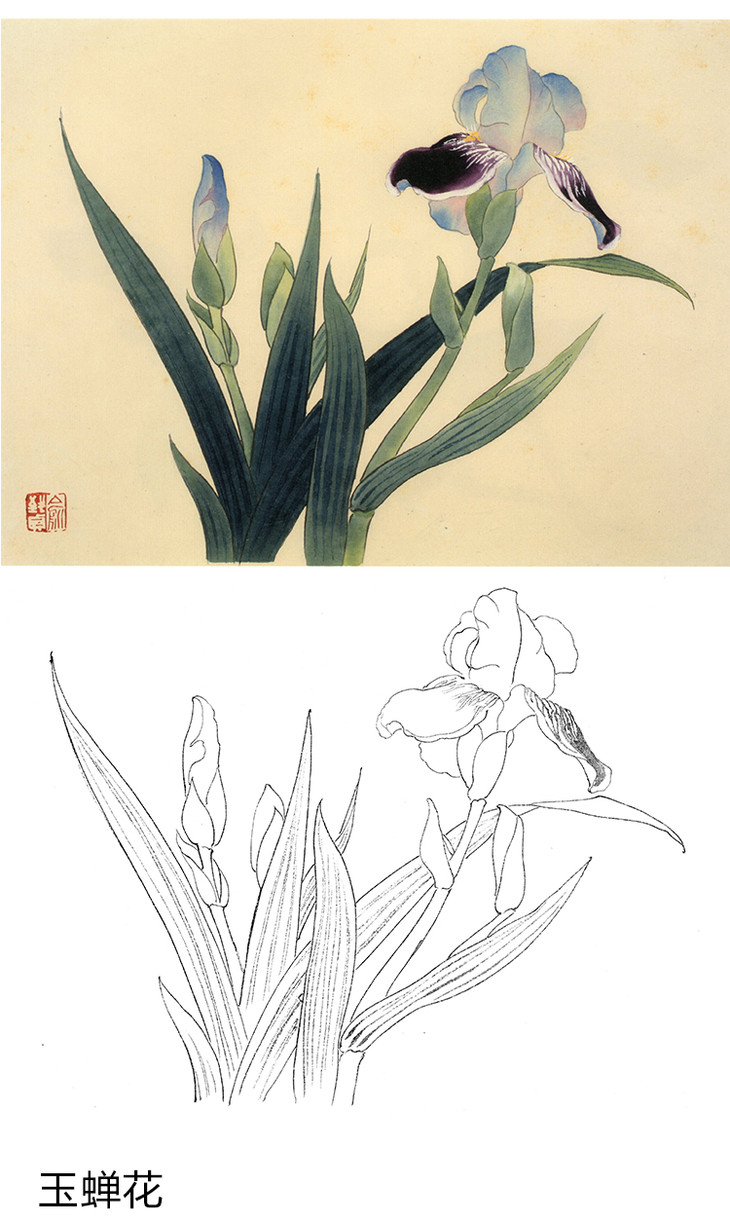 俞致贞工笔花鸟白描底稿花卉小品一套20幅册页jv65
