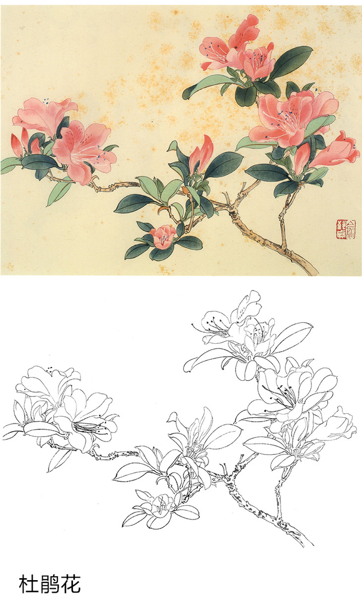 俞致贞工笔花鸟白描底稿花卉小品一套20幅册页jv65