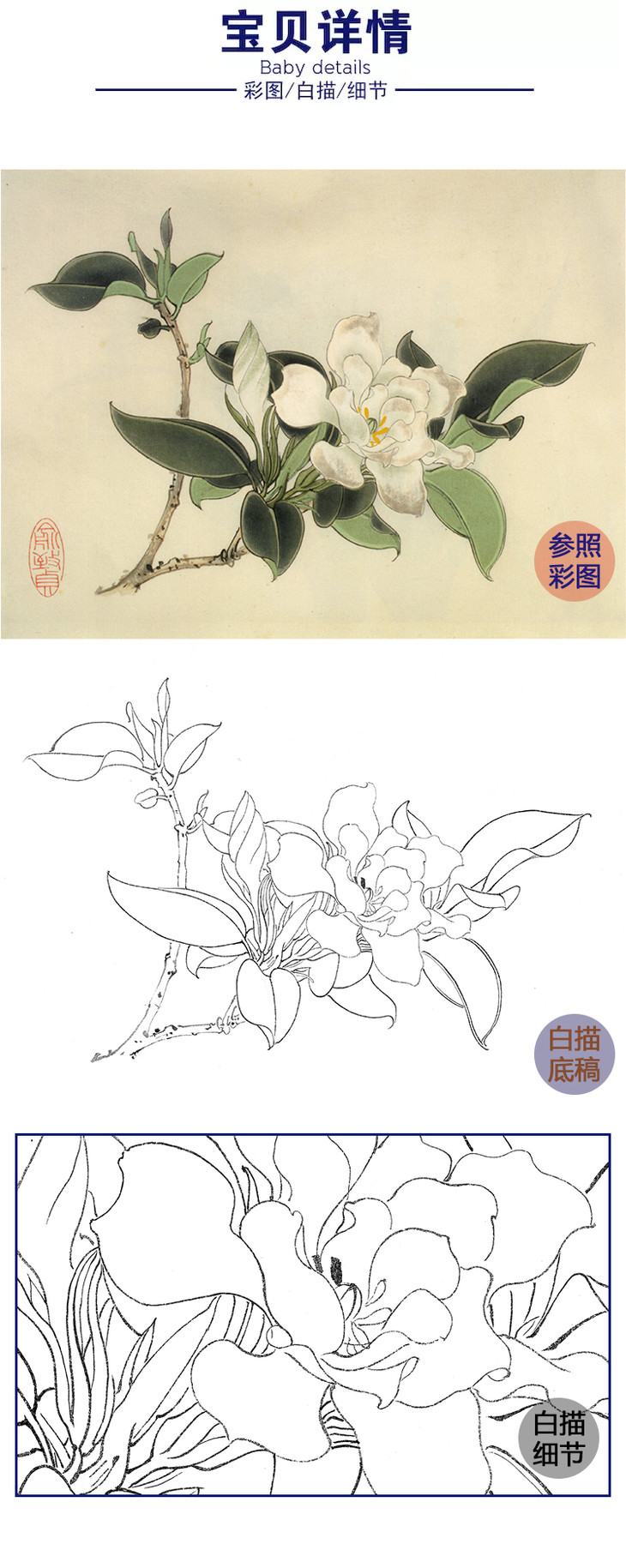 俞致贞工笔花鸟白描底稿-花卉《栀子花》-斗方小品册页-jv55