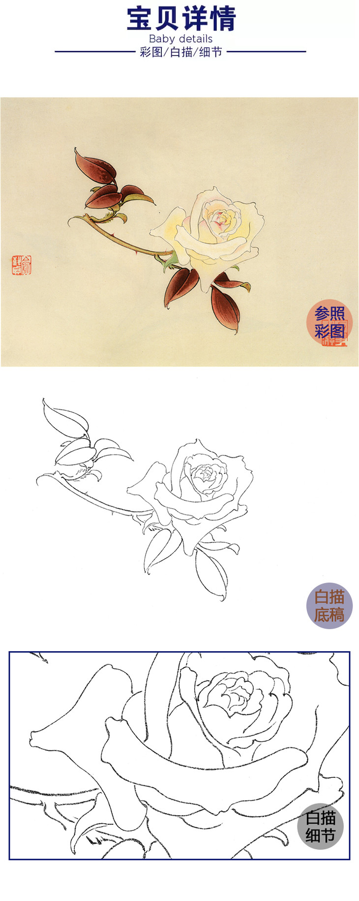 俞致贞工笔花鸟白描底稿-花卉月季花-斗方小品册页-jv58 - 桔舍