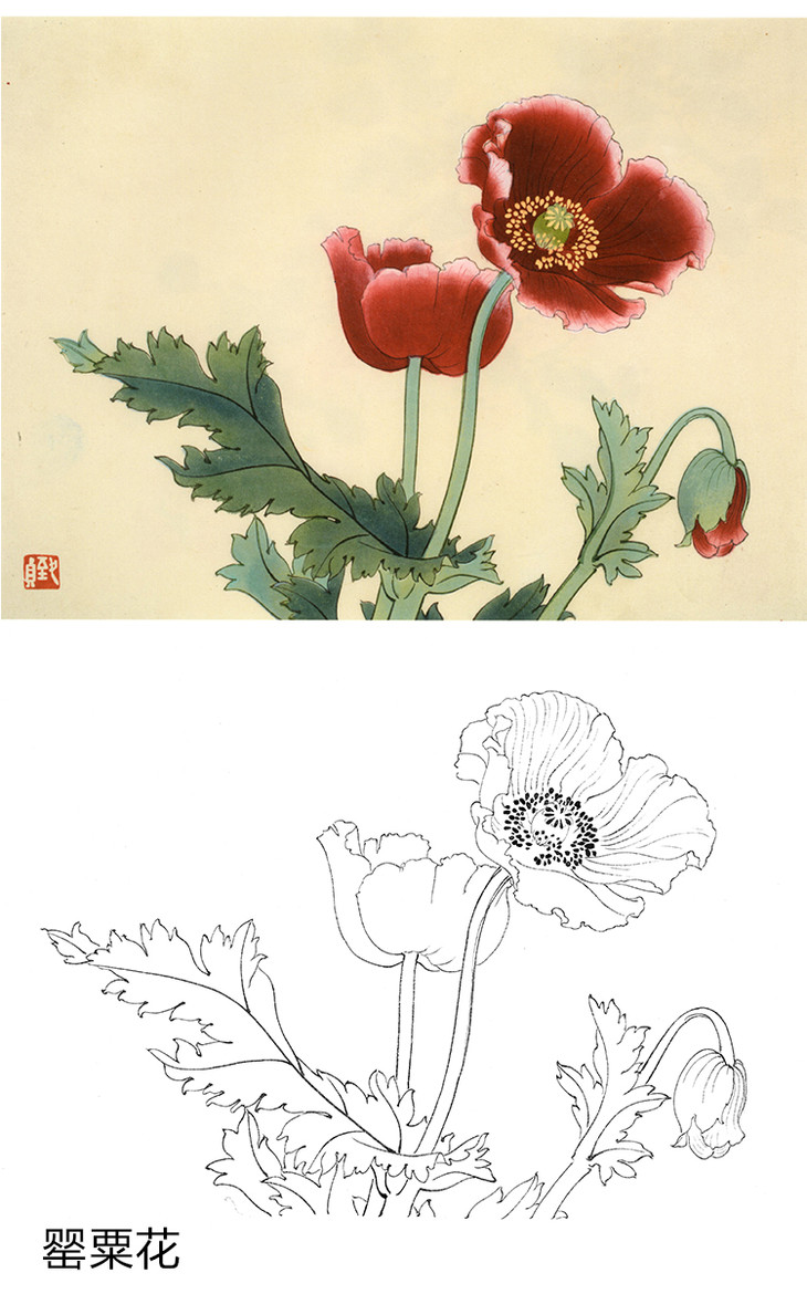 俞致贞工笔花鸟白描底稿花卉小品一套20幅册页jv65