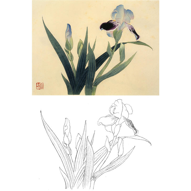 俞致贞花卉小品-玉蝉花-jv56