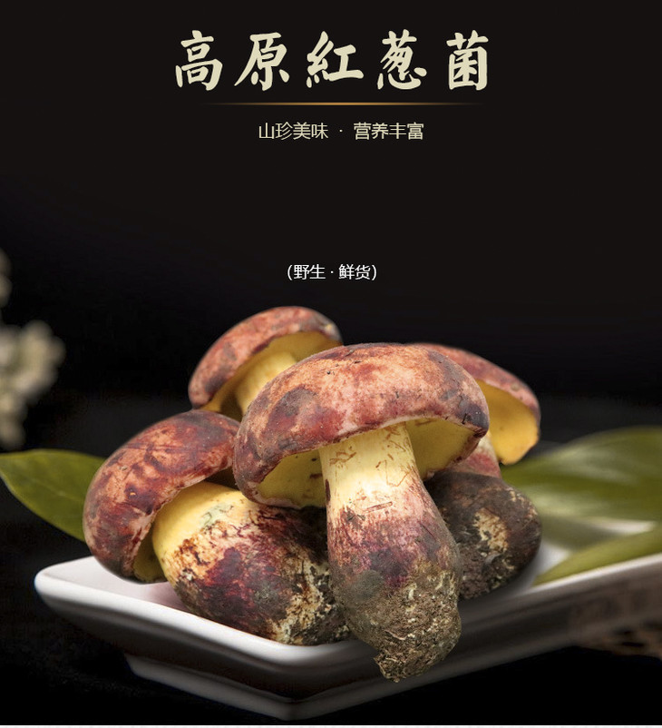 【野生鲜红葱菌500g】牛肝菌的一种 肉肥厚鲜美 营养丰富 著名野生