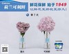 鲜花养护荷兰可利鲜通用袋装1份（5包） 商品缩略图2