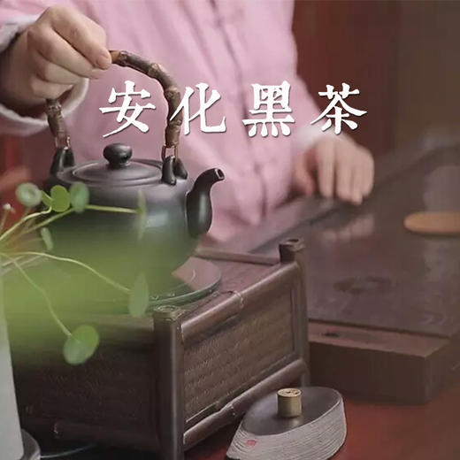 《湖南安化黑茶》——问山茶友会空中专题课堂 商品图0