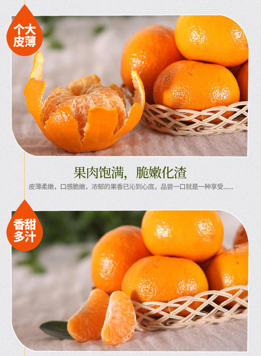 一叶子 商品图1