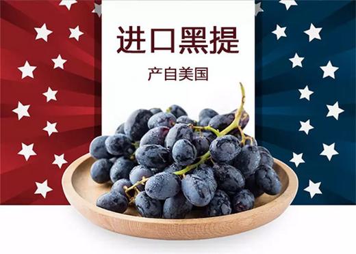 意大利原装进口红酒（家庭餐酒） 商品图1