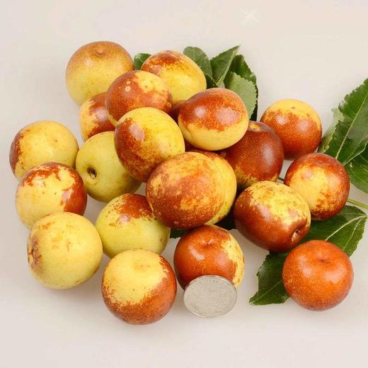 陕西大荔冬枣 商品图1