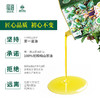 【绿优原生】 野生山茶油 低温压榨清香型2.5L 商品缩略图3