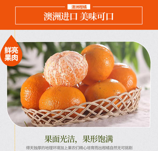 一叶子 商品图2