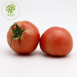 有机大番茄（粉妞） 500g