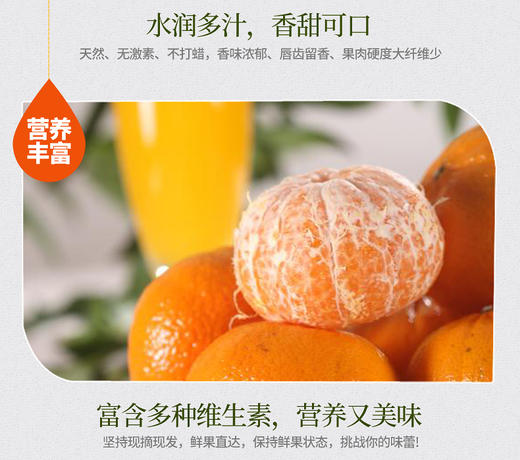 一叶子 商品图0