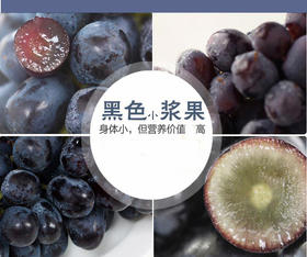 意大利原装进口红酒（家庭餐酒）