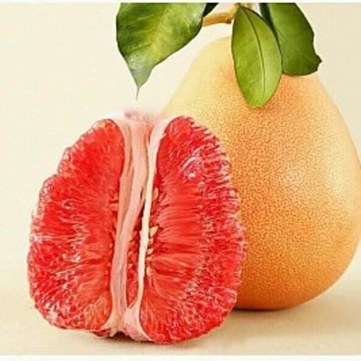 一个大柚子 商品图0