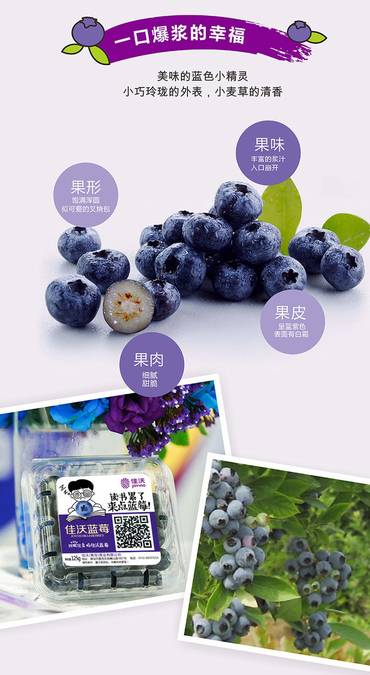 青岛佳沃蓝莓一级
