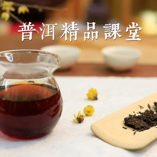 《普洱之易武山头年份茶大比拼》——问山茶友会空中精品课堂 商品图0