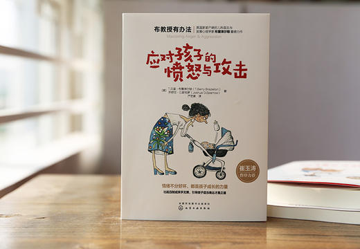 【正版】崔玉涛推荐：给孩子立规矩+应对孩子的愤怒与攻击（共2册） 商品图3