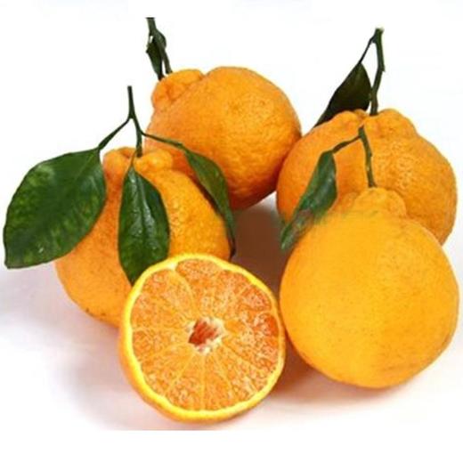 四川不知火柑 商品图1