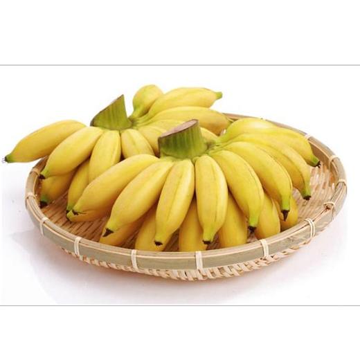 菲律宾米蕉 商品图1