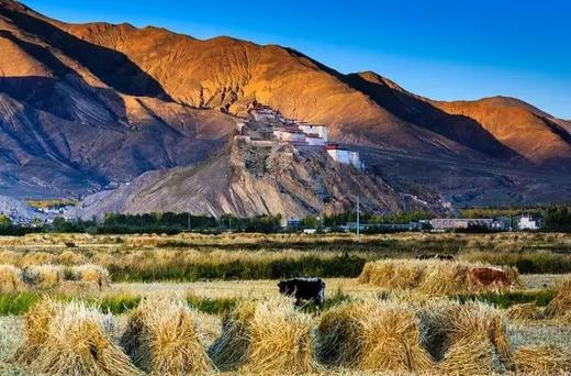 【赴阿里之约】阿里大环线14天精华摄影团 商品图7