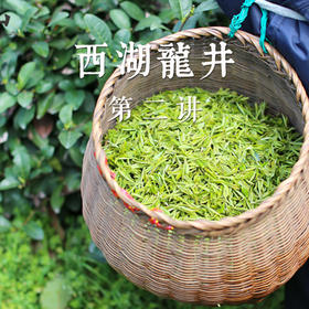 西湖龙井专题课堂