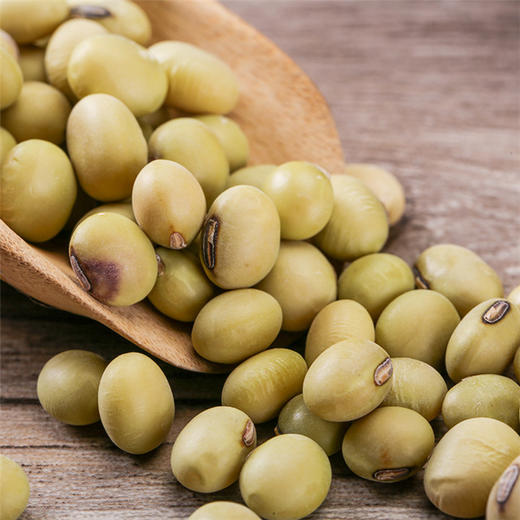 贵州特产 红色石阡甘溪本地绿皮小黄豆 5斤装 贵州省内包邮