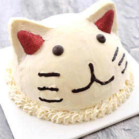 笑脸猫（提前半天预约）