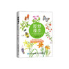 原野漫步 370种野花与88种昆虫的手绘自然笔记 商品缩略图0