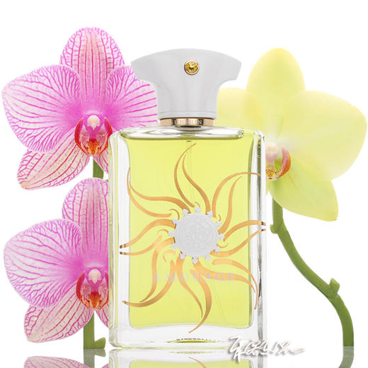 Amouage Sunshine 爱慕 阳光男士香水 小样/正装 商品图0