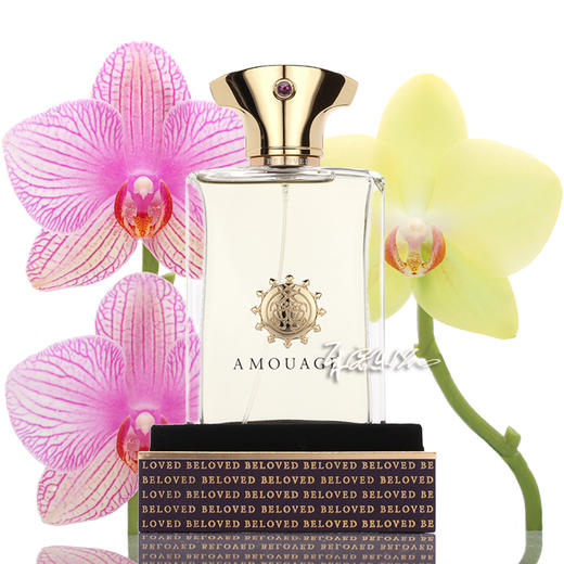 Amouage Beloved Man 爱慕 宠爱男士香水  小样/正装 商品图0