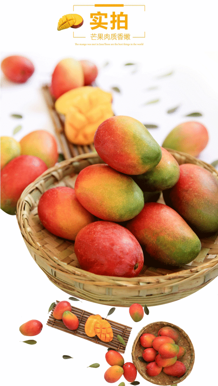 【果香扑鼻】艾文芒果 四川五彩蜜芒 原产地直发