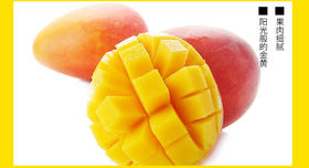 芒果