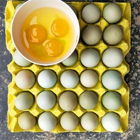 铜仁江口【梵净山正宗绿壳鸡蛋】 30枚/件 贵州省内包邮 农家自产